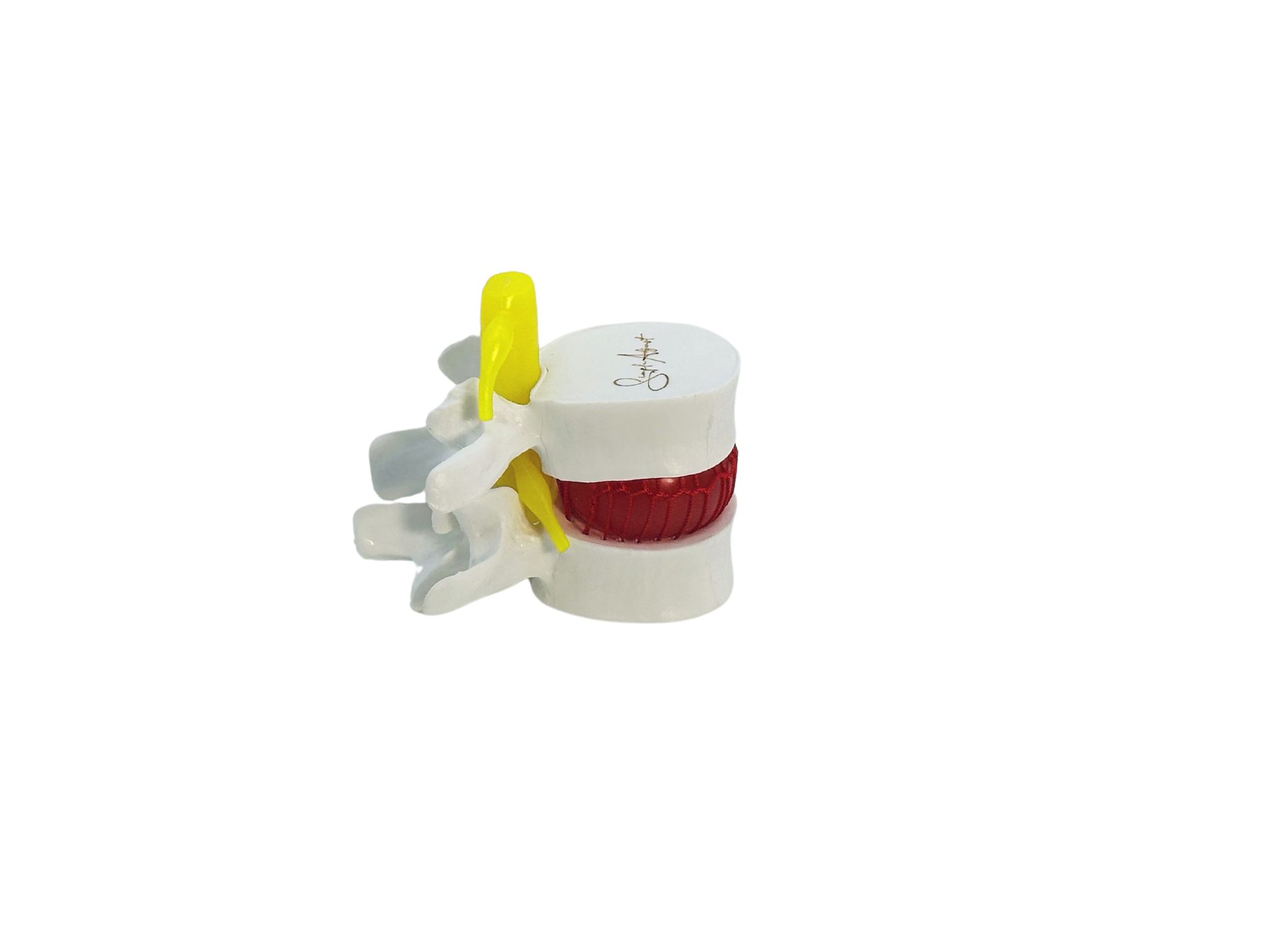 MODELL BANDSCHEIBENVORFALL